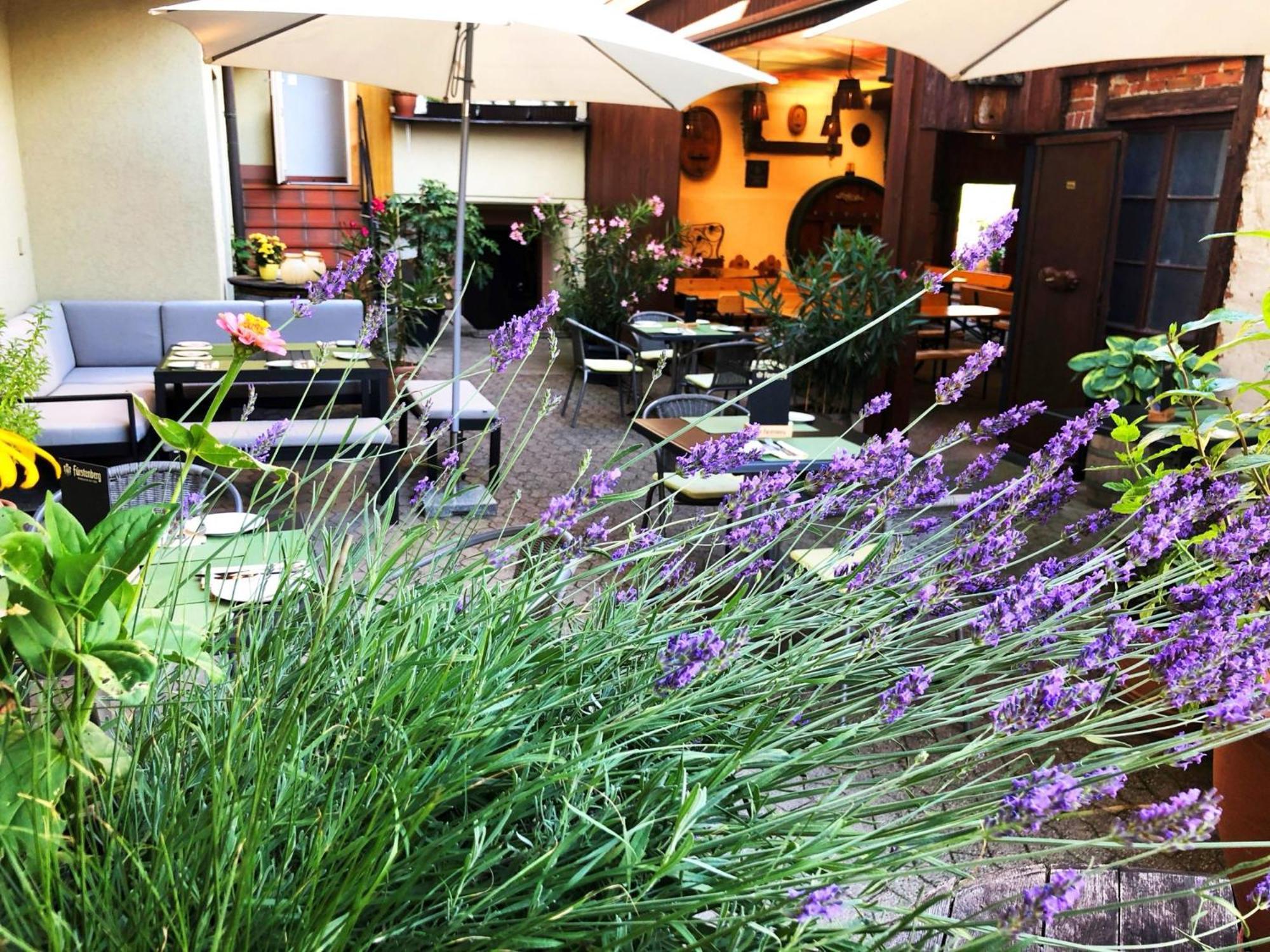 Appartements 'In Vino Veritas' Haslach im Kinzigtal Exterior photo